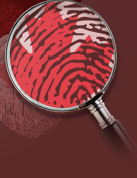 Image représentant la ressource