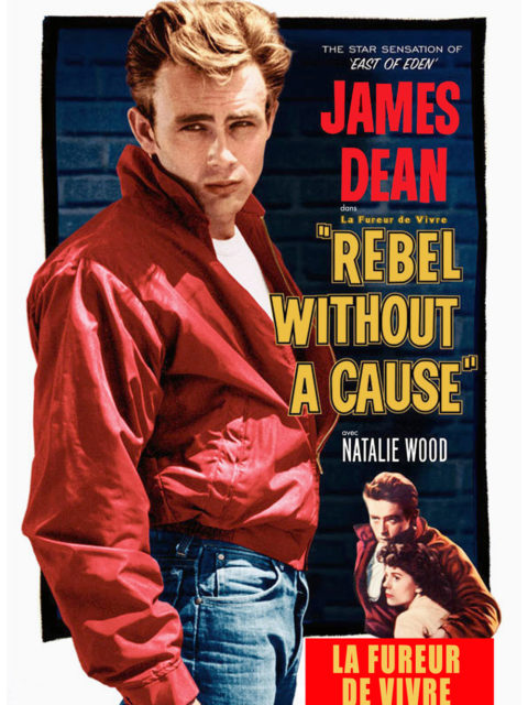 Image représentant la ressource