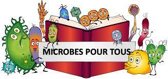 Image représentant la ressource: Le microscope : voir les microbes.