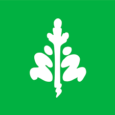 Image représentant la ressource