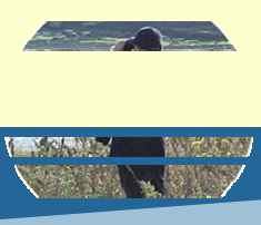 Image représentant la ressource: Vers des communautés climatosages : Guide pédagogique d'éducation au changement climatique