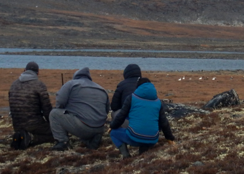 Image représentant la ressource: Respecter les animaux = Respecting the Animals = ᐆᒪᔪᓂᒃ ᐱᑦᓯᐊᕆᐊᖃᓐᓂᖅ.