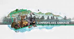 Image représentant la ressource