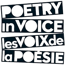 Image représentant la ressource