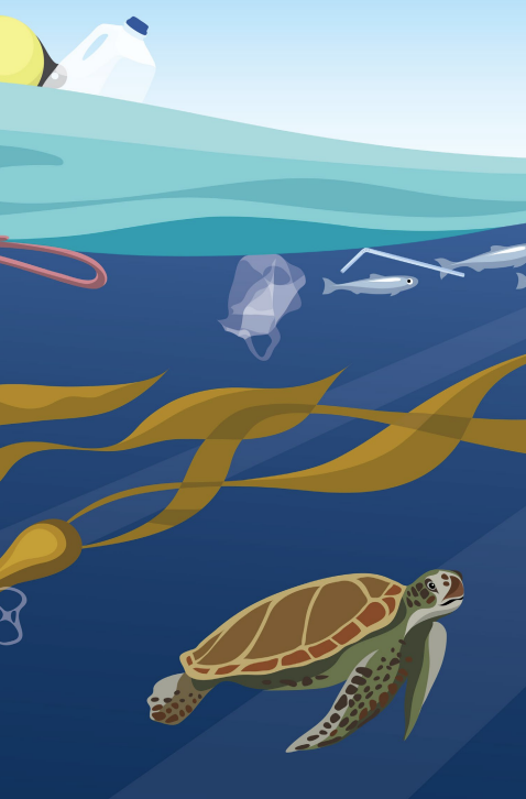 Image représentant la ressource