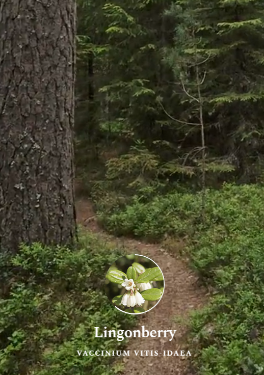 Image représentant la ressource