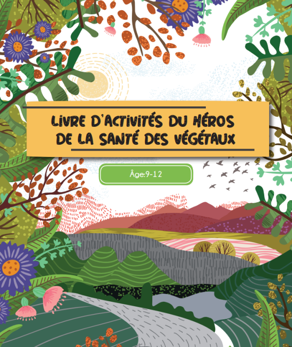 Image représentant la ressource