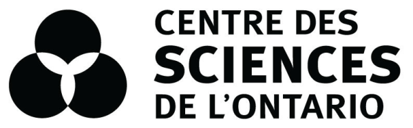 Image représentant la ressource: Sciences maison = DIY Science Fun