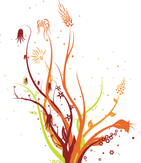 Image représentant la ressource