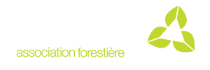 Image représentant la ressource: Module de géographie : territoire forestier du Québec.
