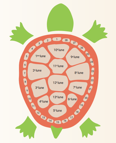 Image représentant la ressource: Les 13 lunes et l'Île de la Tortue.