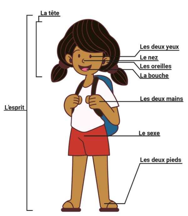 Image représentant la ressource