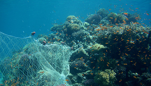 Image représentant la ressource: Engins fantômes : Guide pédagogique et cahier d'activités = Ghost gear : Educational guide and activity book.