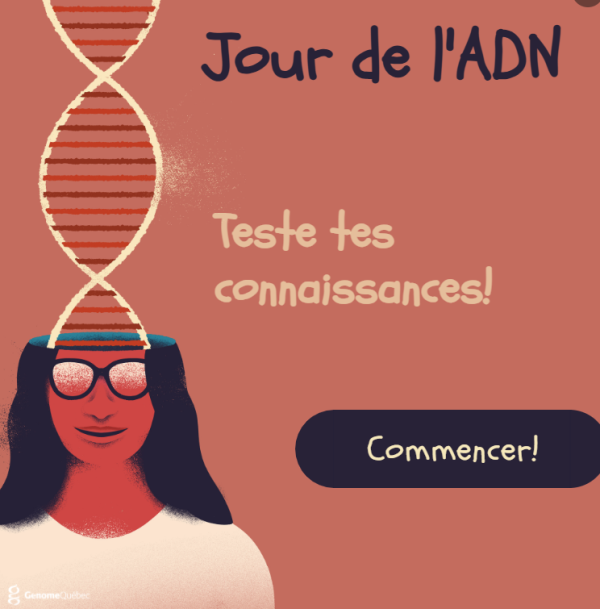 Image représentant la ressource