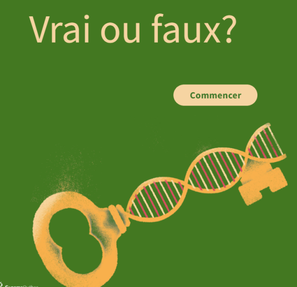 Image représentant la ressource