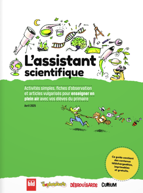 Image représentant la ressource