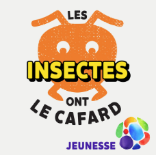 Image représentant la ressource