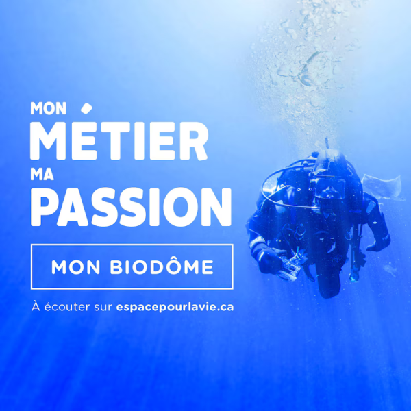 Image représentant la ressource: Mon métier, ma passion, mon Biodôme.