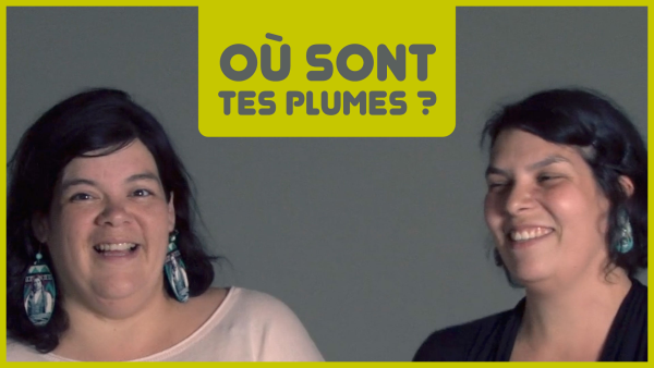 Image représentant la ressource: Où sont tes plumes?