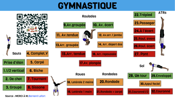 Image représentant la ressource: Gymnastique