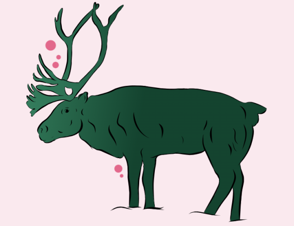 Image représentant la ressource: Caribou