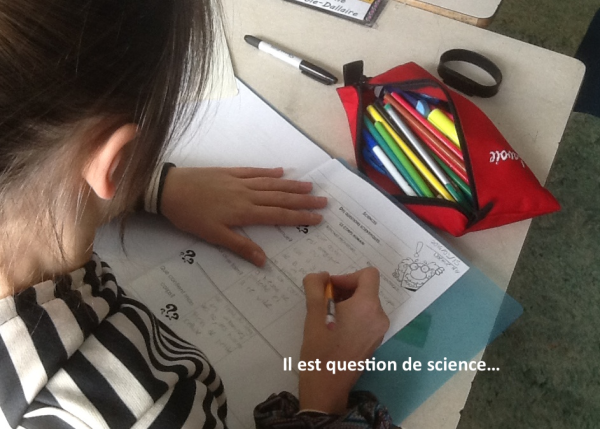 Image représentant la ressource: Questions de sciences